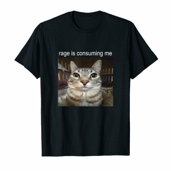 Rage Is Consuming Me Silly Staring Cat Meme T-Shirt